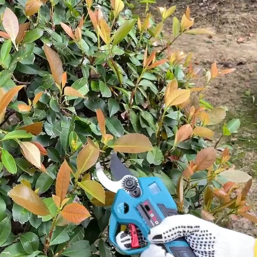 A metszőolló munka közben egy sűrű sövényben