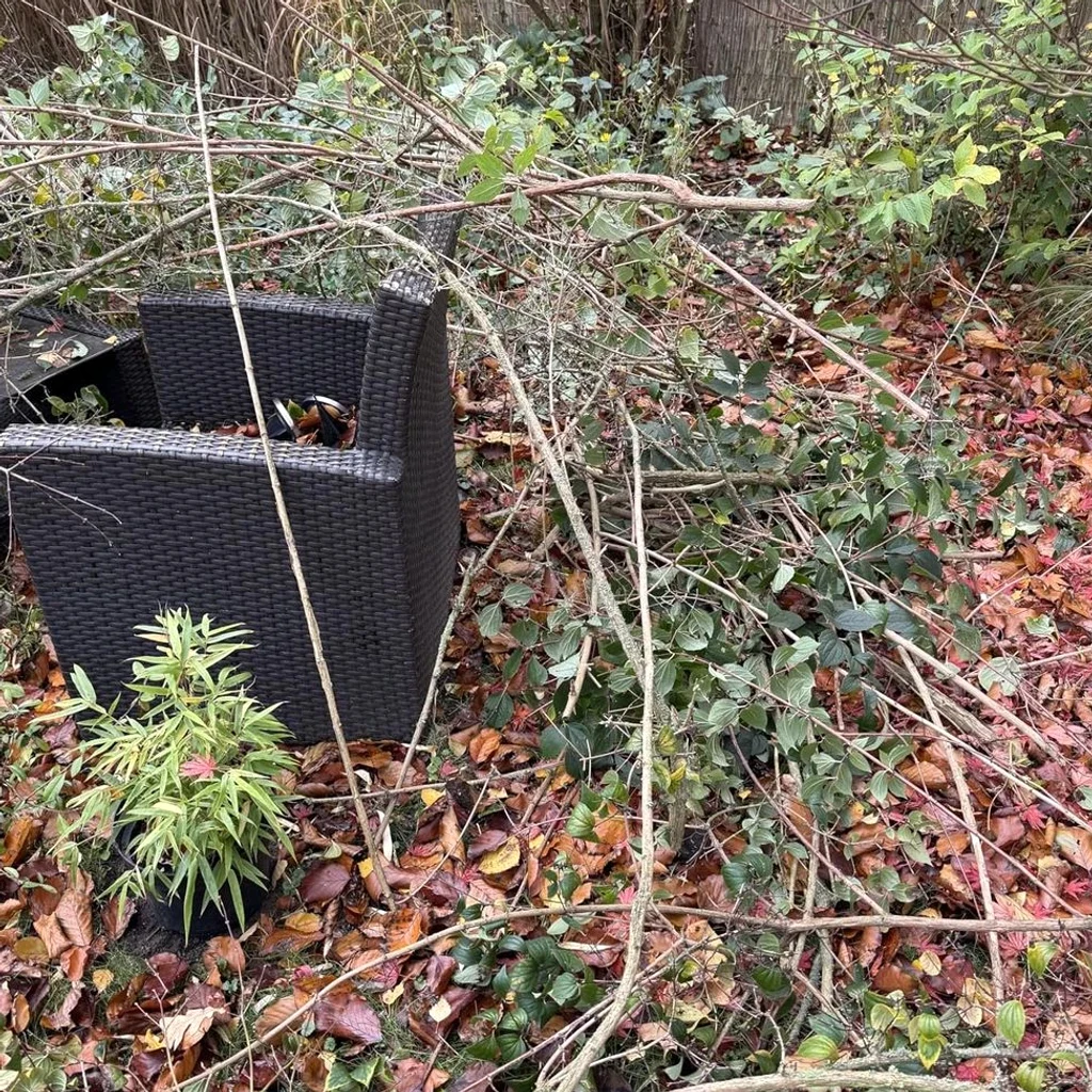 Fotografija kupca: orezane grane složene na hrpu u gredici