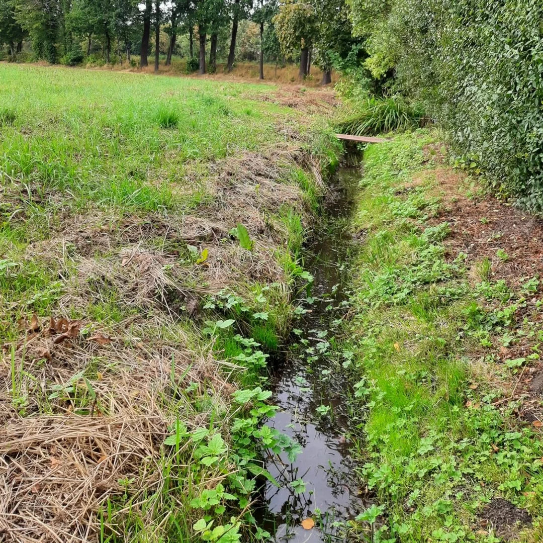 Fotografija kupca: očišćen jarak iza kuće